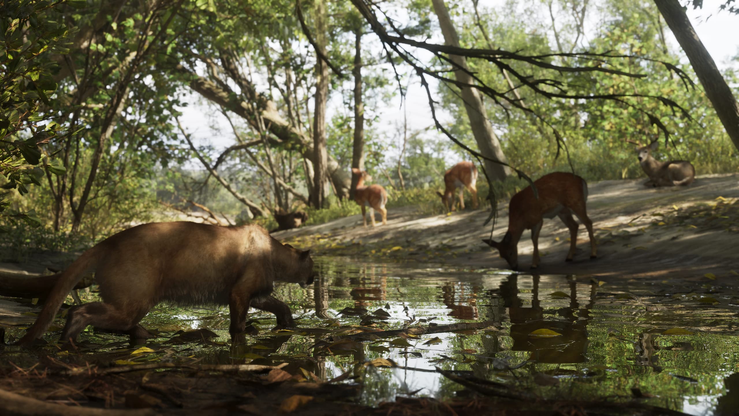 Mount Kalaga National Park — 4